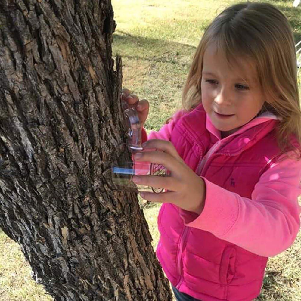 Juguete de Exploración de Insectos con Lupa ATP - 6 Paquetes