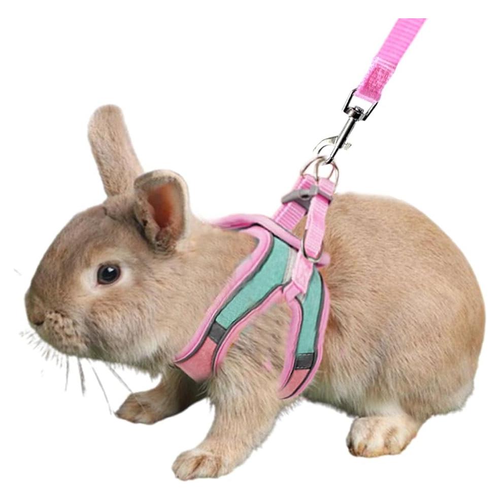 Conjunto Arnés y Correa Anelekor para Conejo Rosa Mediano