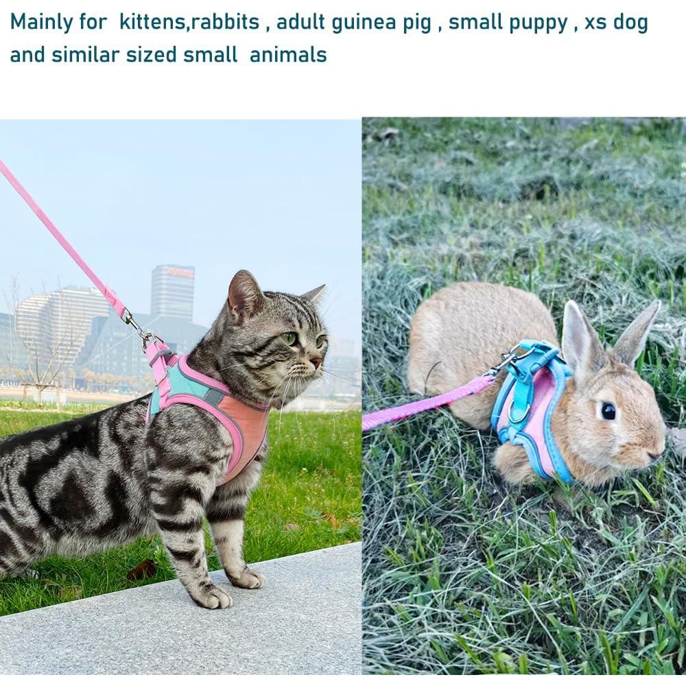 Conjunto Arnés y Correa Anelekor para Conejo Rosa Mediano
