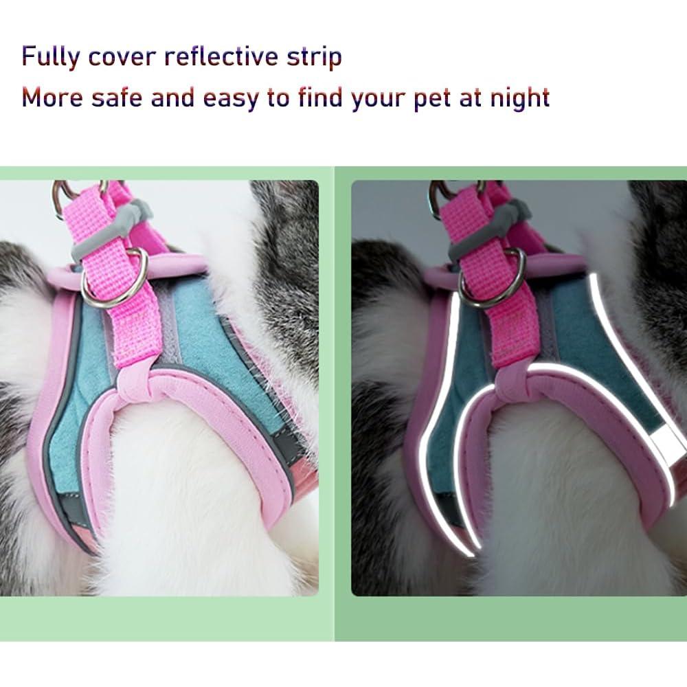 Conjunto Arnés y Correa Anelekor para Conejo Rosa Mediano