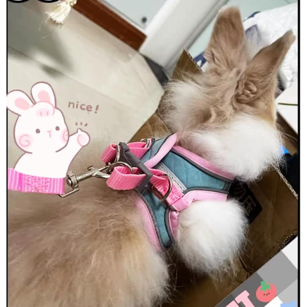 Conjunto Arnés y Correa Anelekor para Conejo Rosa Mediano