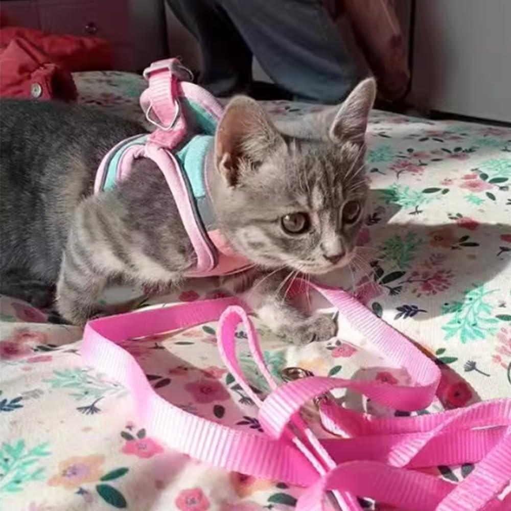 Conjunto Arnés y Correa Anelekor para Conejo Rosa Mediano