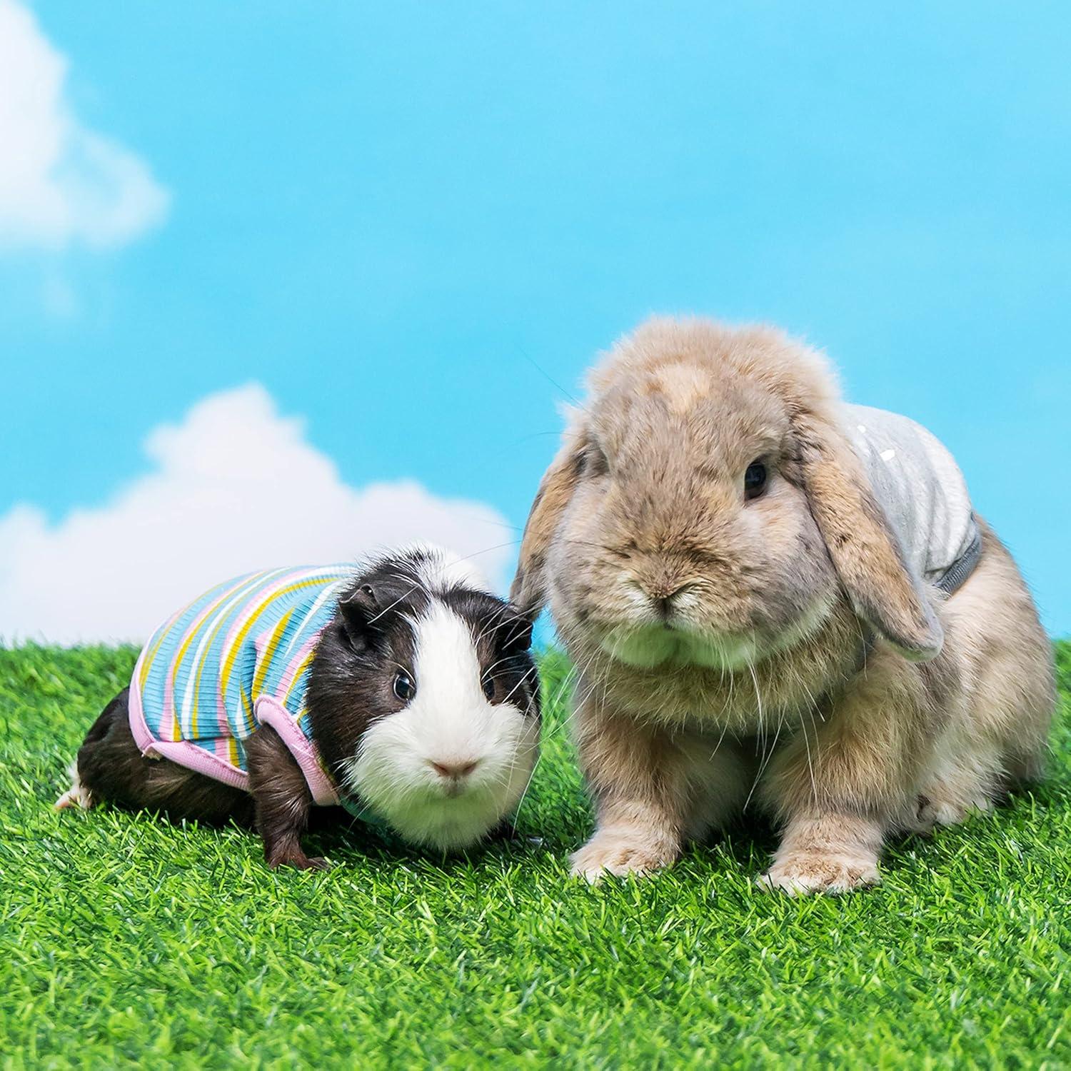 Ropa para Cobayas ALUZAEMO - Paquete de 2 Camisetas Suaves