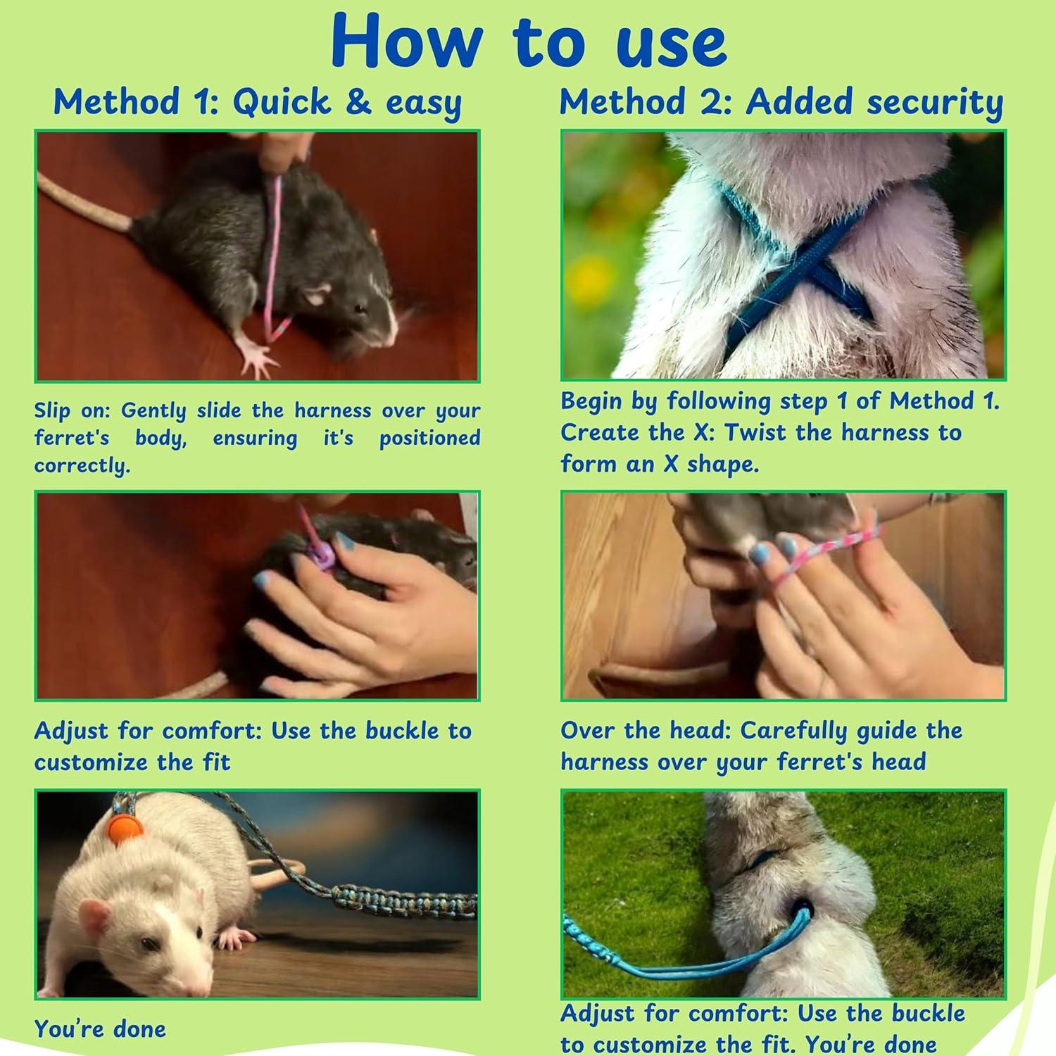 Arnés y Correa Ajustable para Hurones Homedy Azul Mini