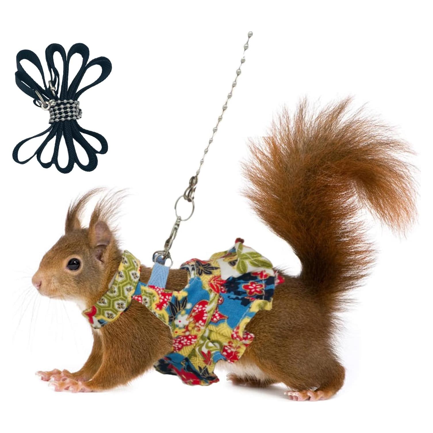 Arnés Ajustable para Animales Pequeños Careupet Floral 2m