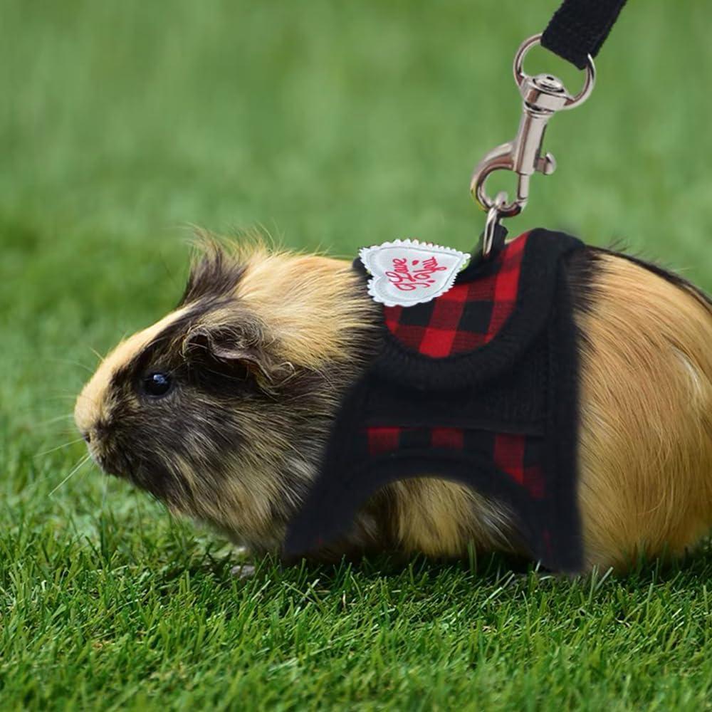 Arnés y Correa para Cobayas CELONROMF Cuadrados Rojos S