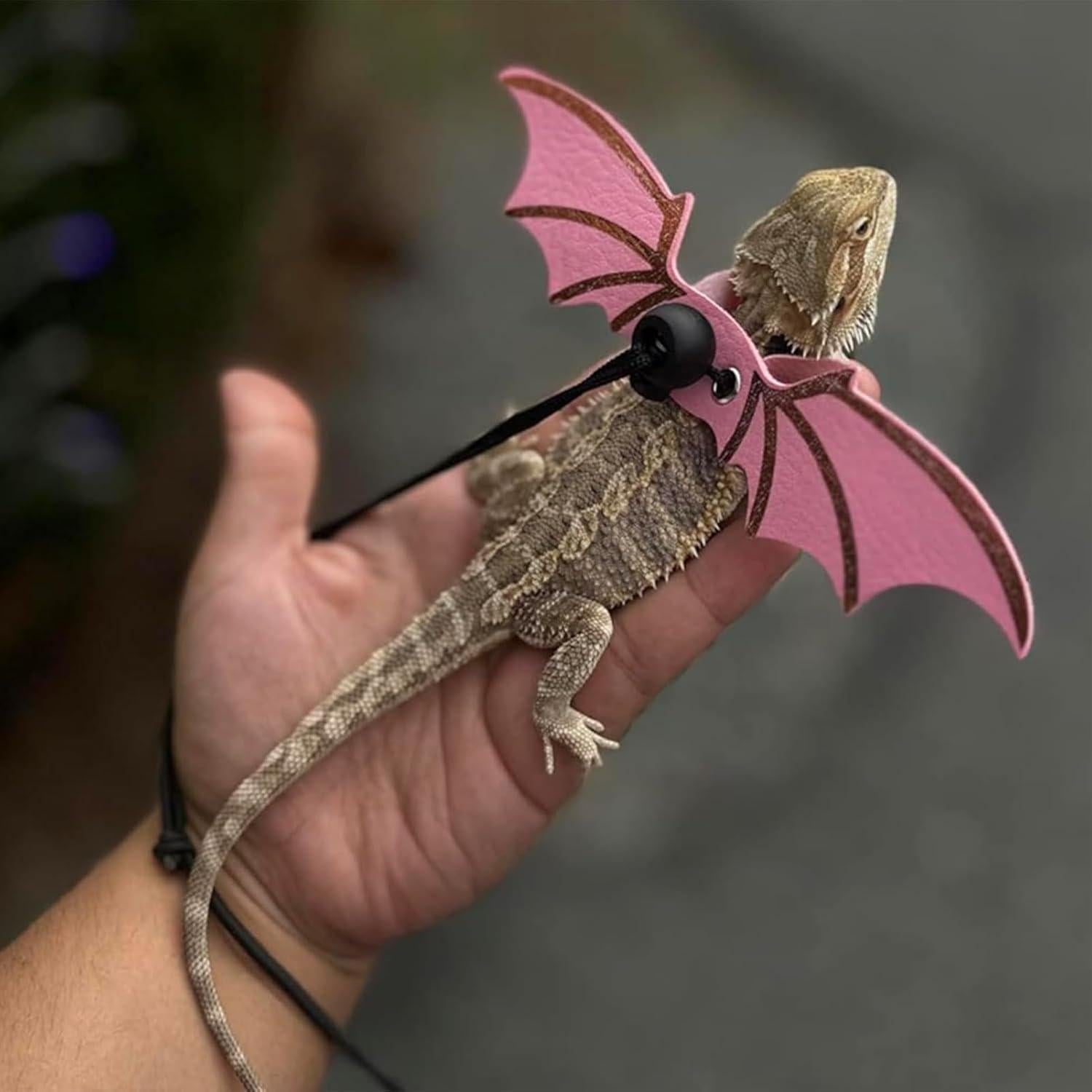 Arnés y Correa Ajustable para Lagarto con Alas - 3 Tamaños S/M/L - Cuero Suave