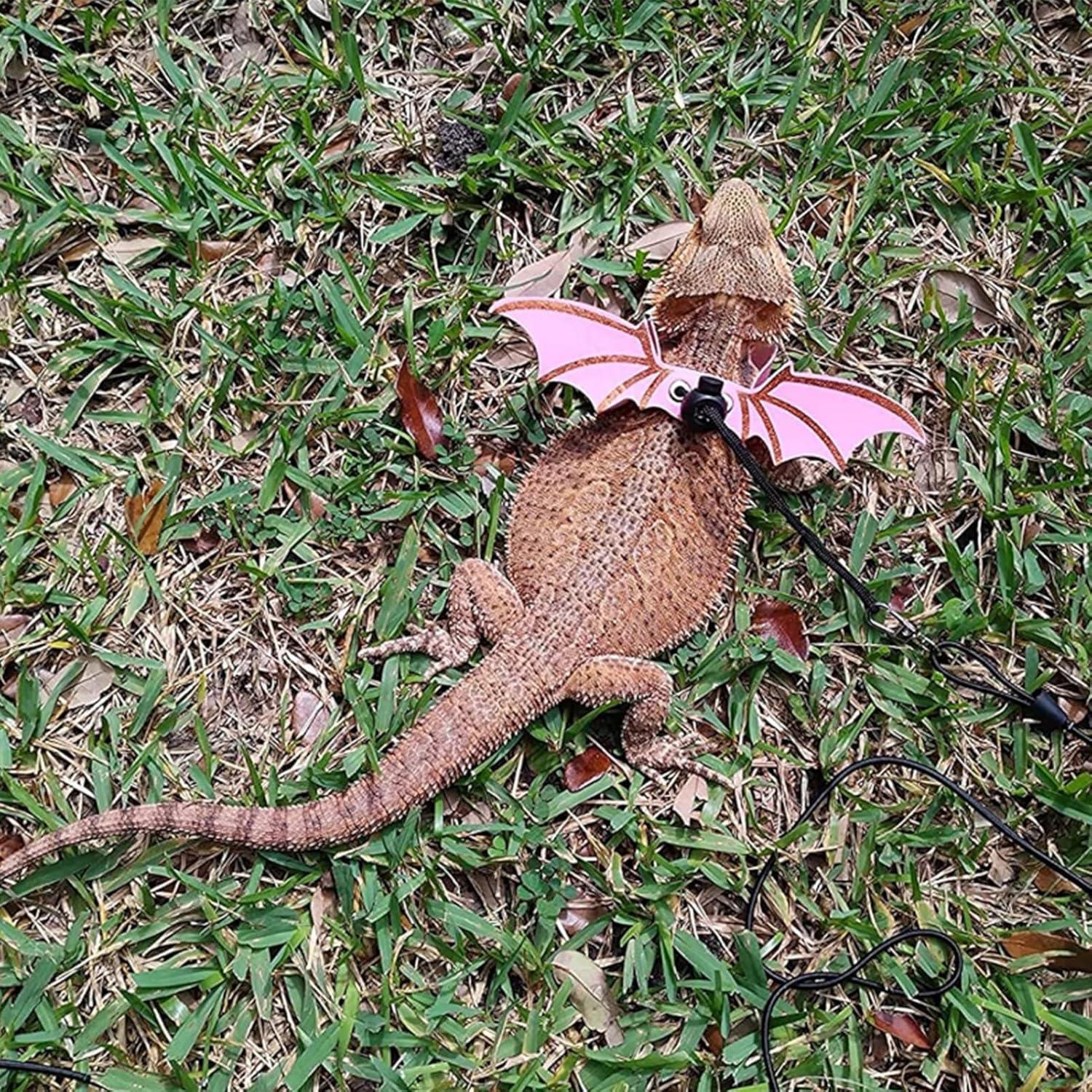 Arnés y Correa Ajustable para Lagarto con Alas - 3 Tamaños S/M/L - Cuero Suave