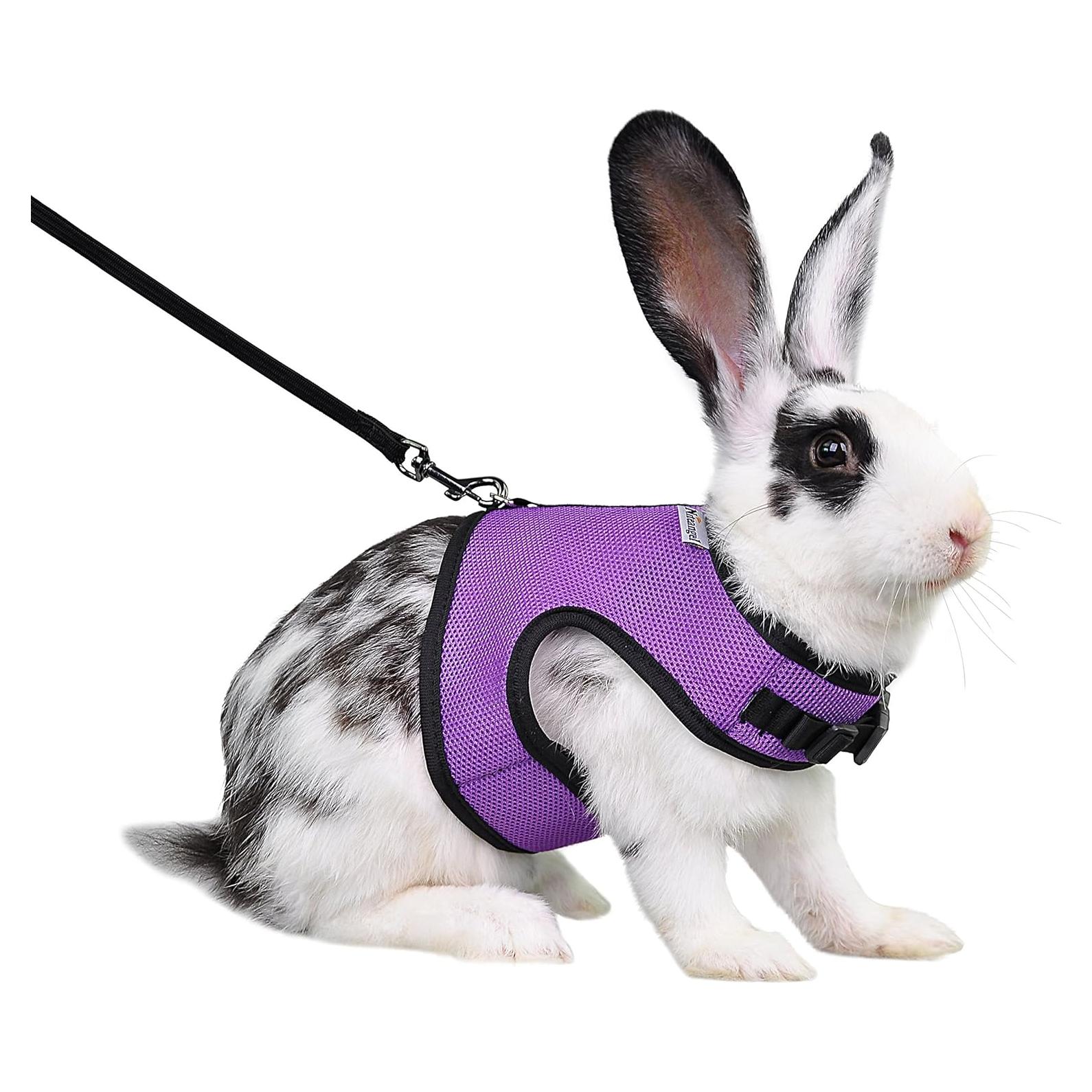 Arnés Suave Ajustable Niteangel para Conejos Grande Púrpura