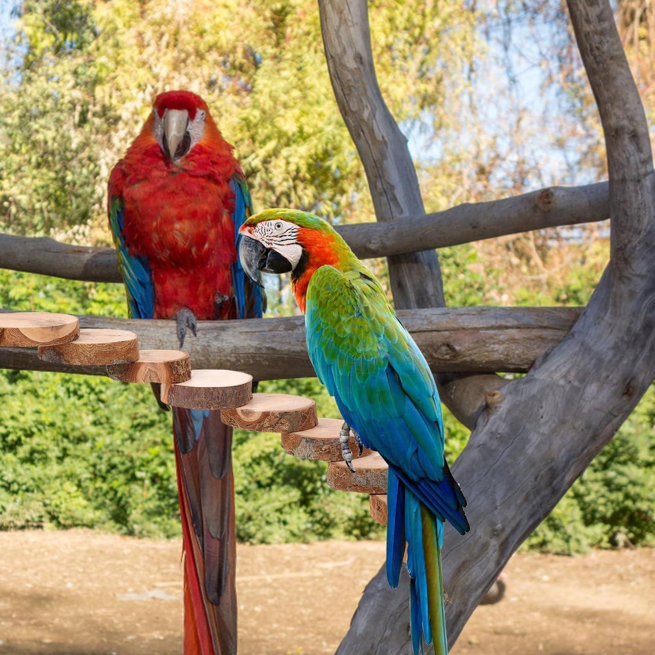 Escalera de Madera Natural Balacoo para Aves y Hámsters - 10 Pasos
