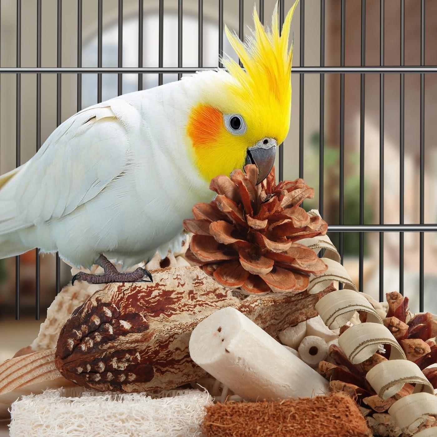 Juguete para Aves Kyouki Forrajeo Natural Mediano 159g