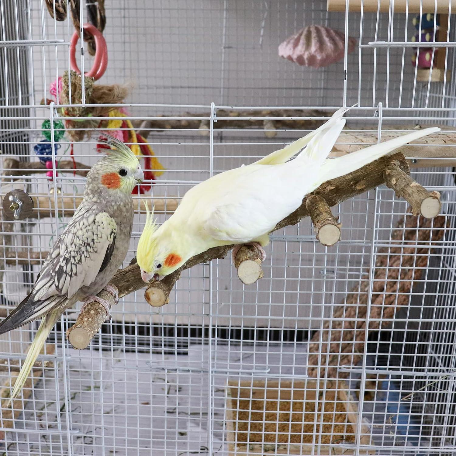 Perch Stand Grande Dnoifne 39.88 cm Madera Natural para Aves