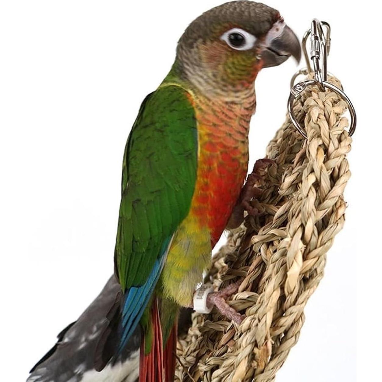 Alfombra de Hierba Marina FBIRDY 75x18 cm para Aves y Mascotas