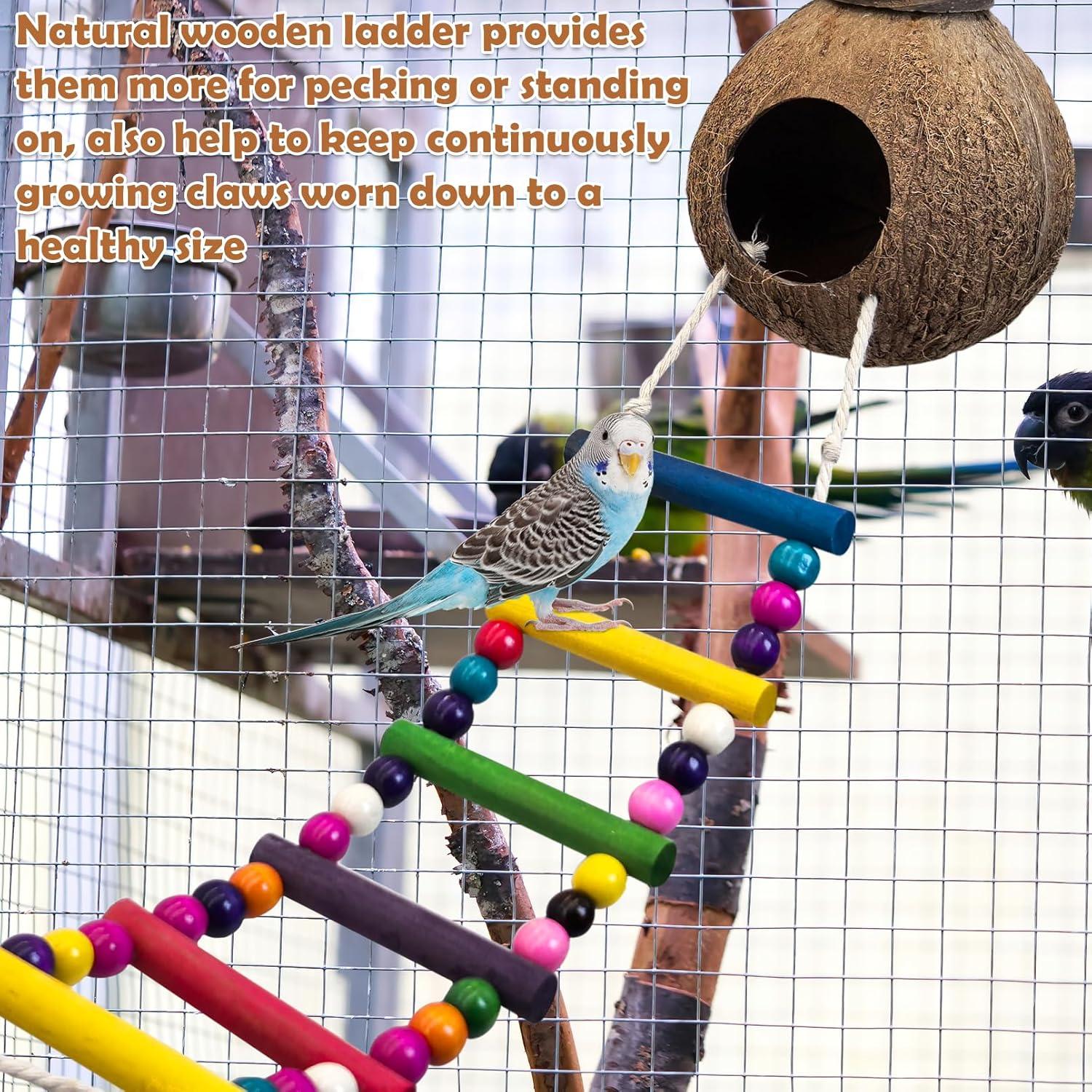 Nido de Pájaro de Coco PINVNBY con Escalera y Columpio