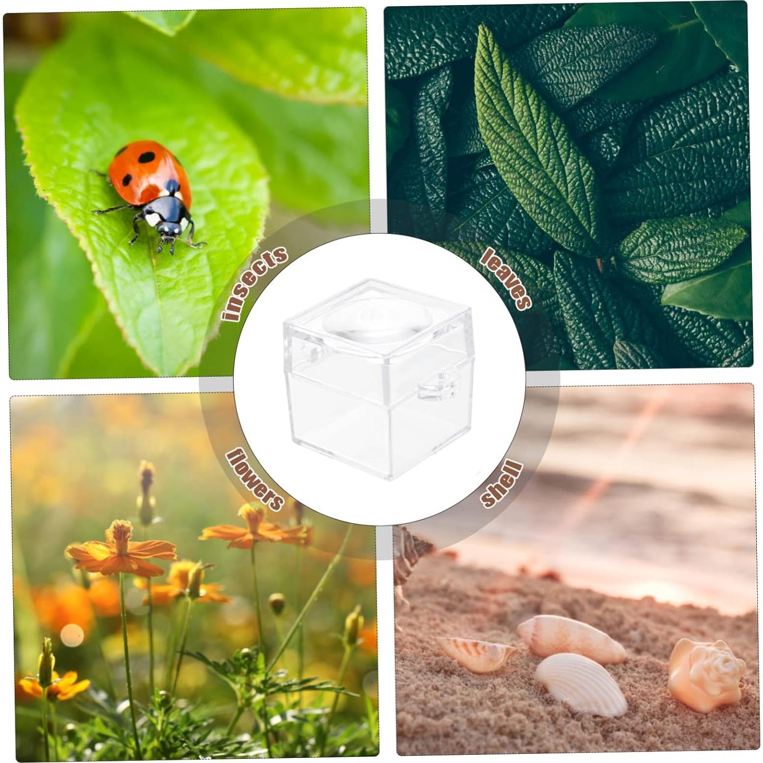 BESTonZON 10 Tarros Portátiles para Observación de Insectos