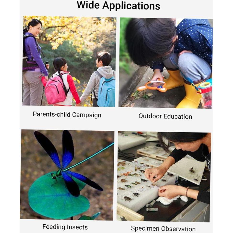 Caja de Inspección de Insectos Irfora con Lentes 2.6X y 4.5X