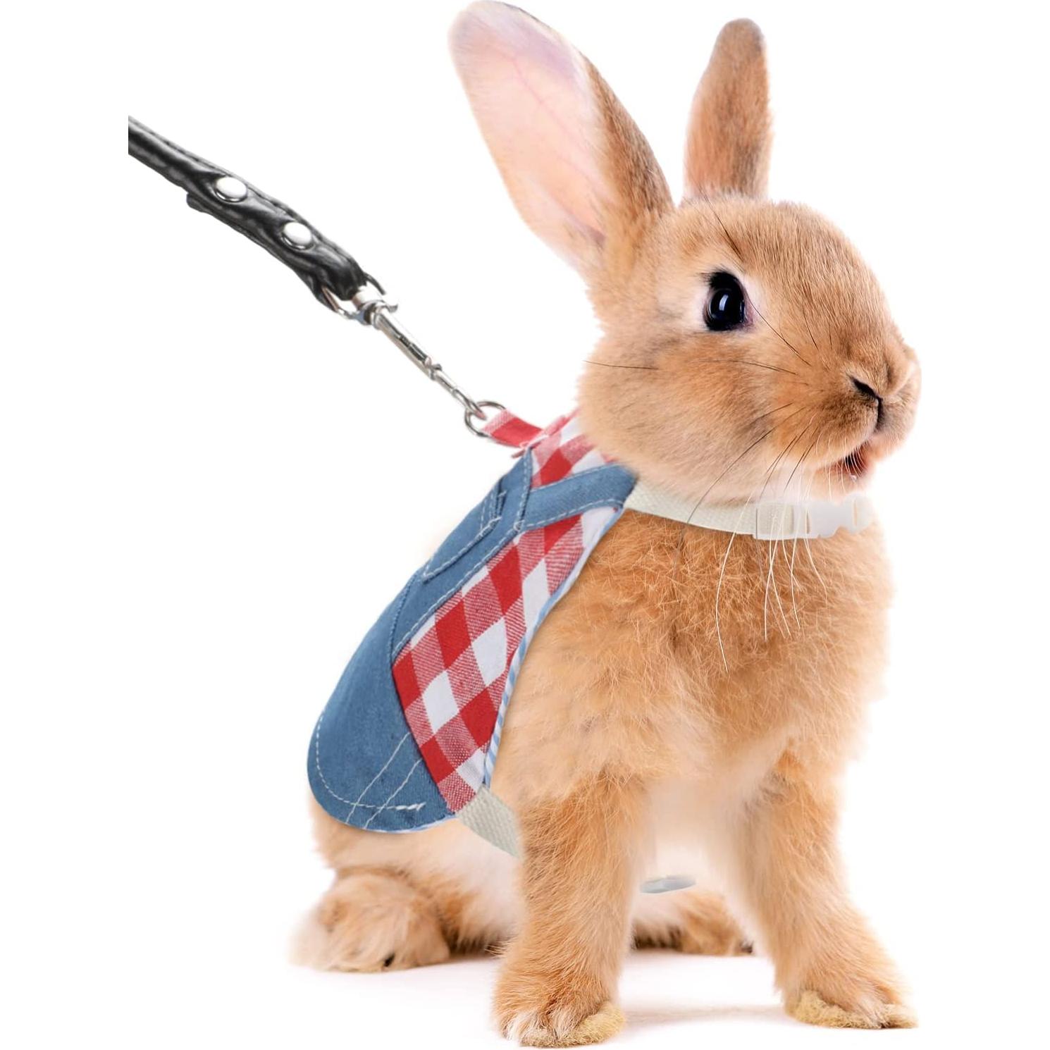 Arnés y Correa para Conejos Saintrygo Pequeño Rojo 4 Piezas