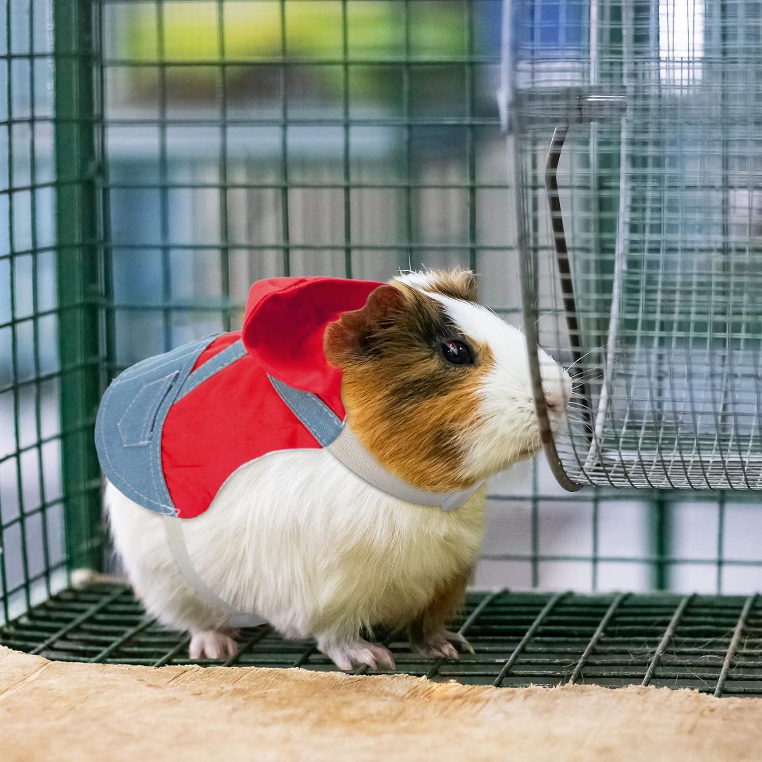 Arnés y Correa para Conejos Saintrygo Pequeño Rojo 4 Piezas