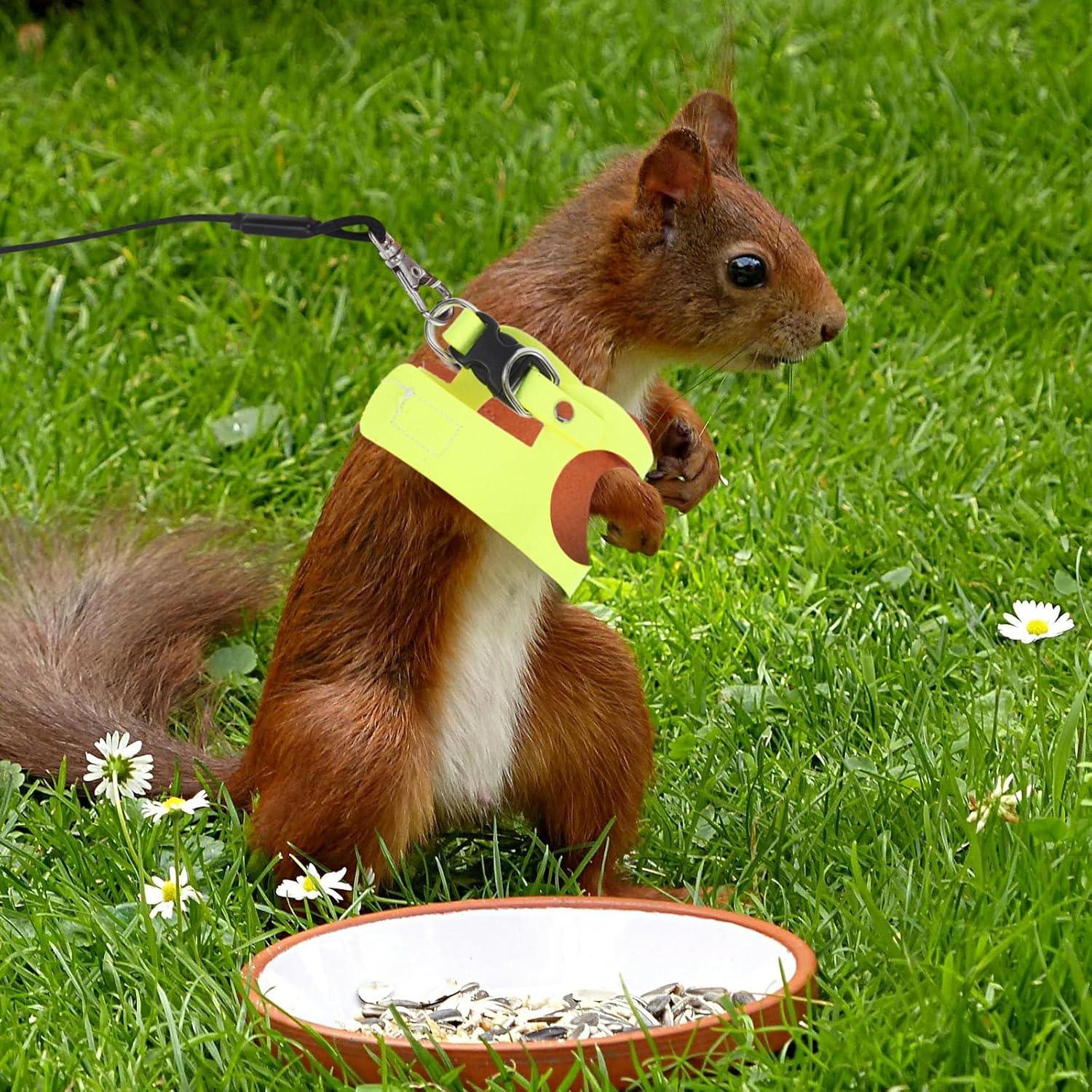 Conjunto Arnés y Correa Ajustable POPETPOP para Conejo y Ardilla