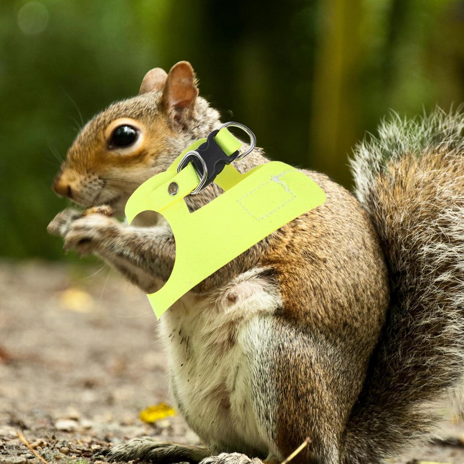 Conjunto Arnés y Correa Ajustable POPETPOP para Conejo y Ardilla