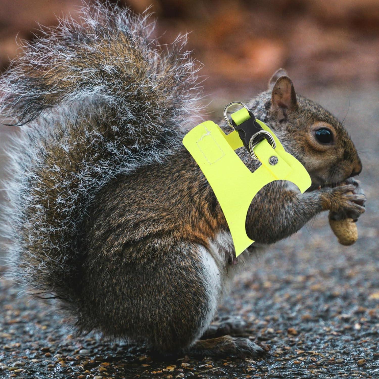 Conjunto Arnés y Correa Ajustable POPETPOP para Conejo y Ardilla