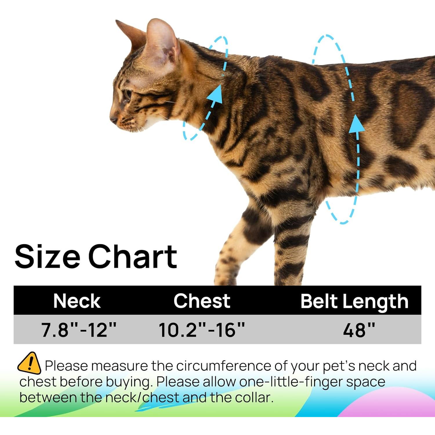 Arnés y Correa para Gato PetThem Ajustable Verde Hawái