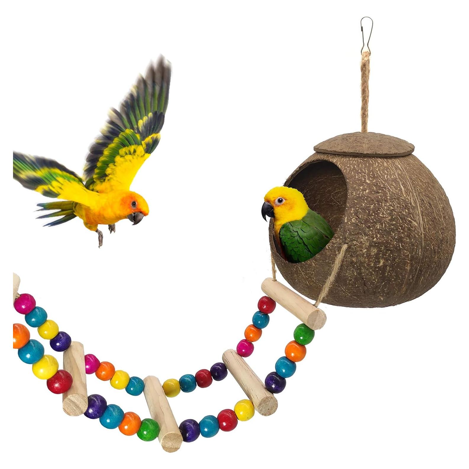 Casa de Pájaro de Coco Eeaivnm con Escalera 12.95 cm