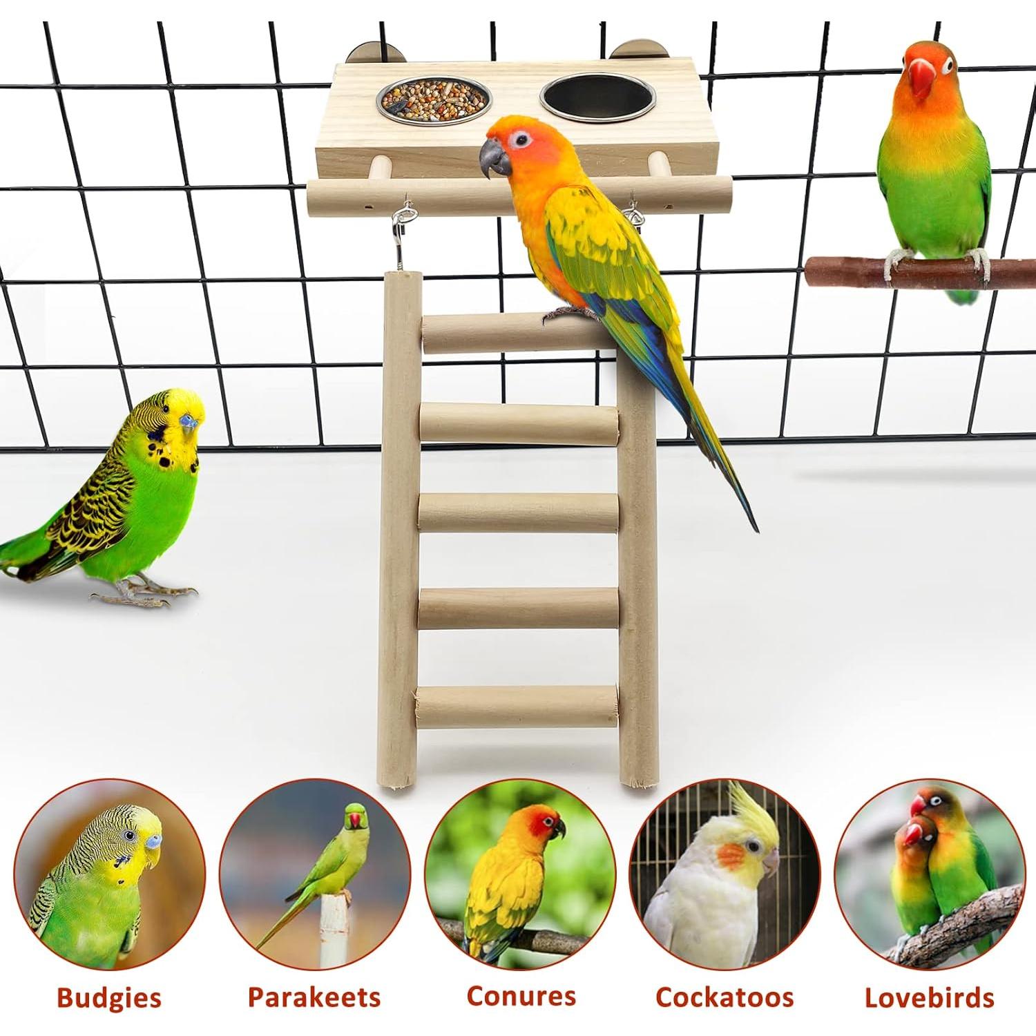 Juego de Comederos para Aves Tfwadmx con Soporte de Madera