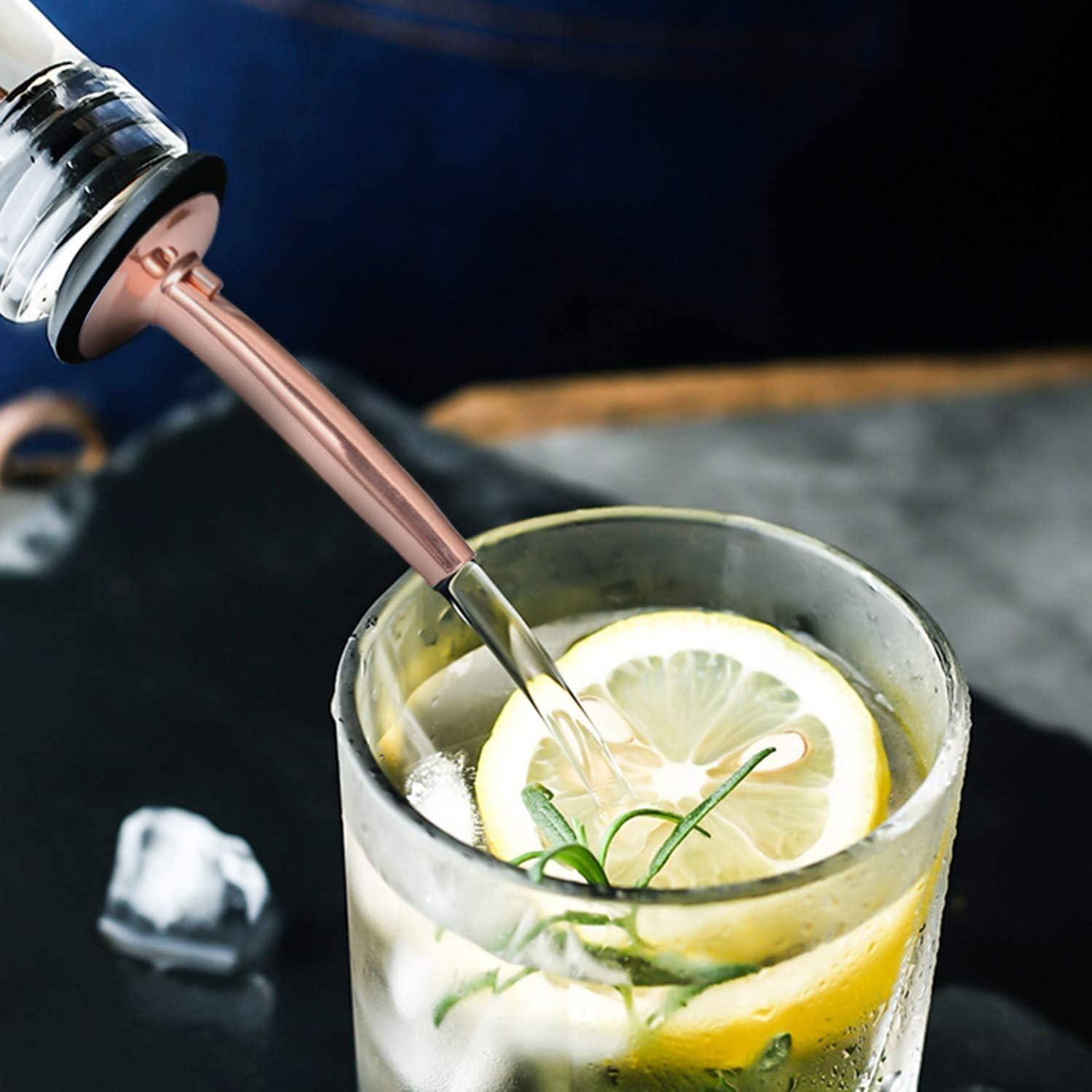 Vertedores de Botella de Vino y Licor Acero Inoxidable 10 Pcs Oro Rosa