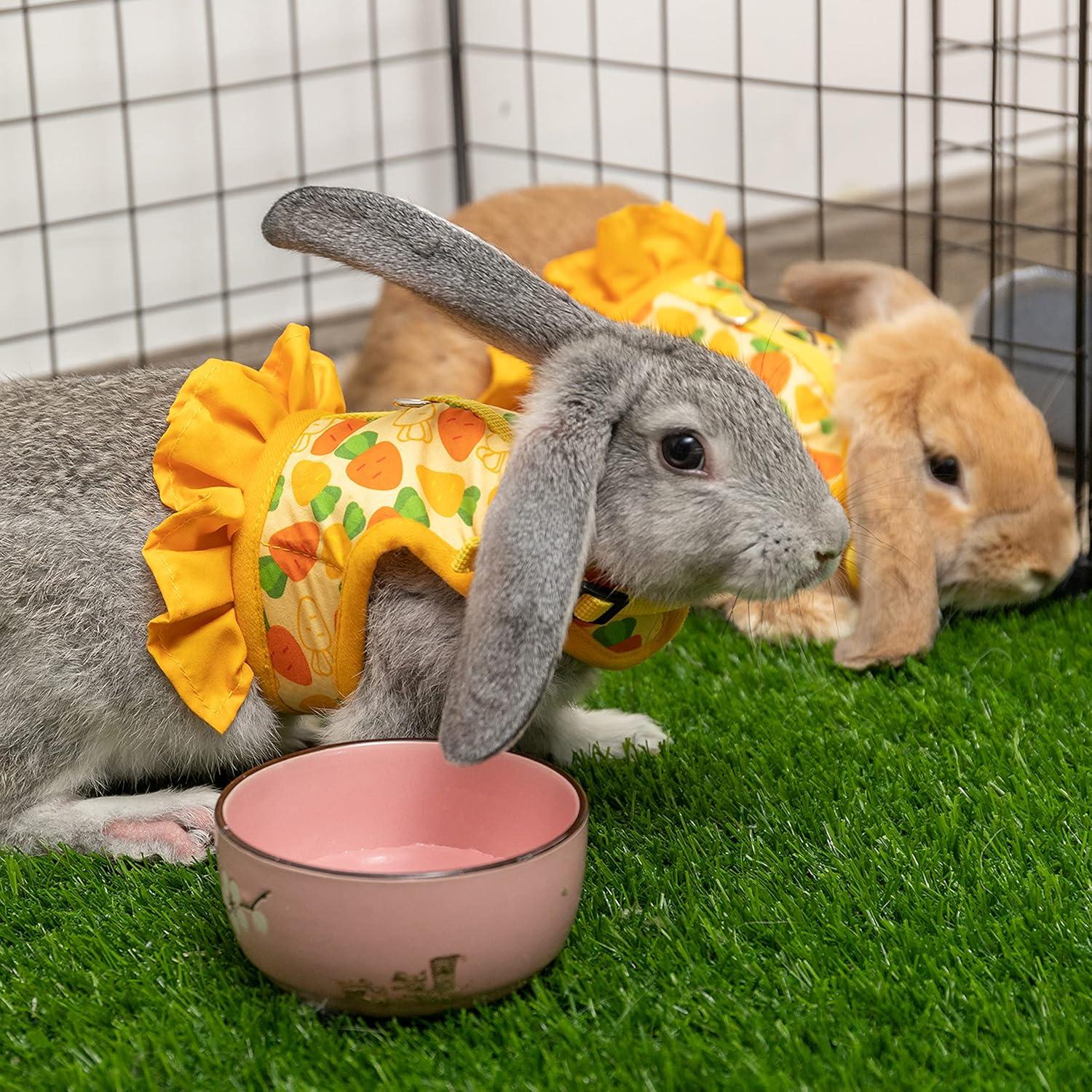 Arnés y Correa para Conejos ALUZAEMO - Malla Transpirable Amarillo