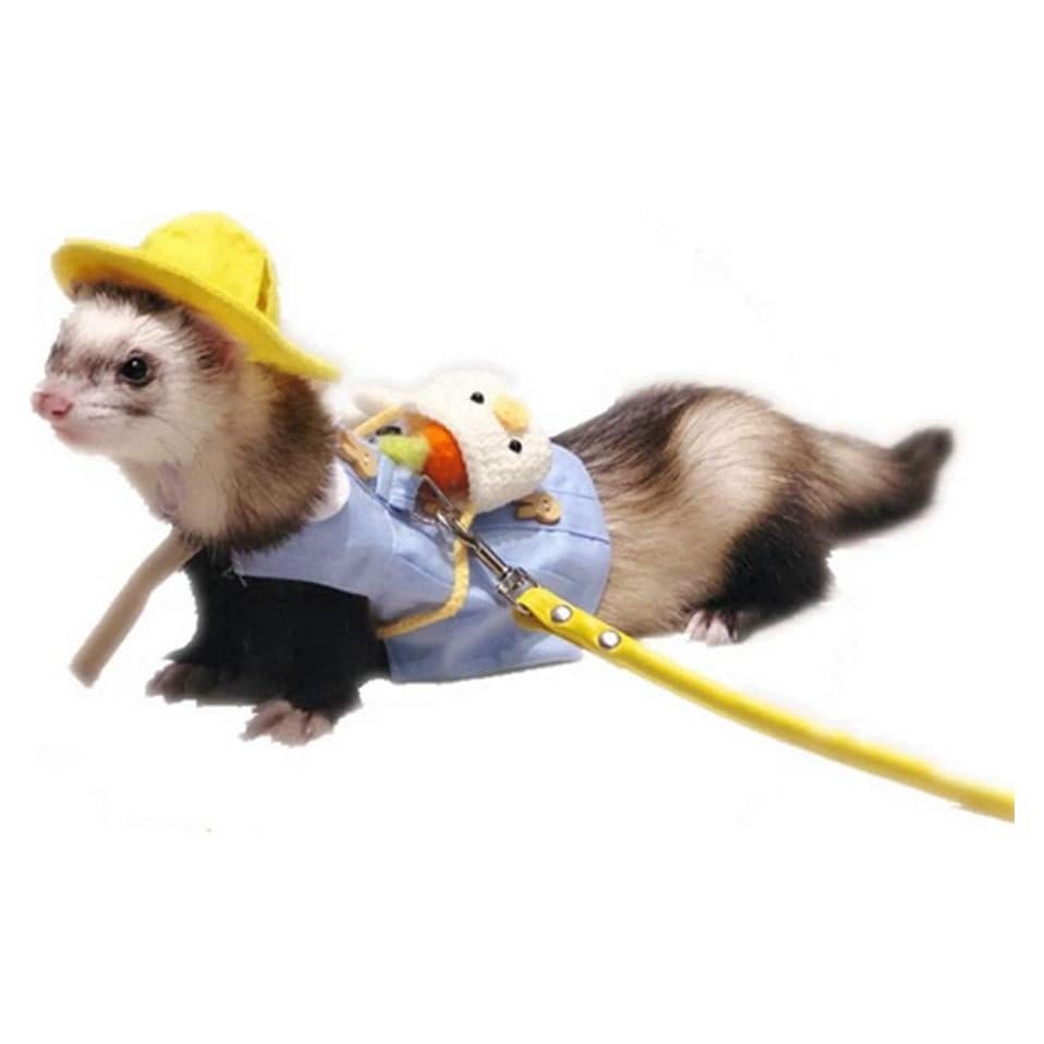 Conjunto Ropa para Hurón Angora con Correa Ajustable Azul