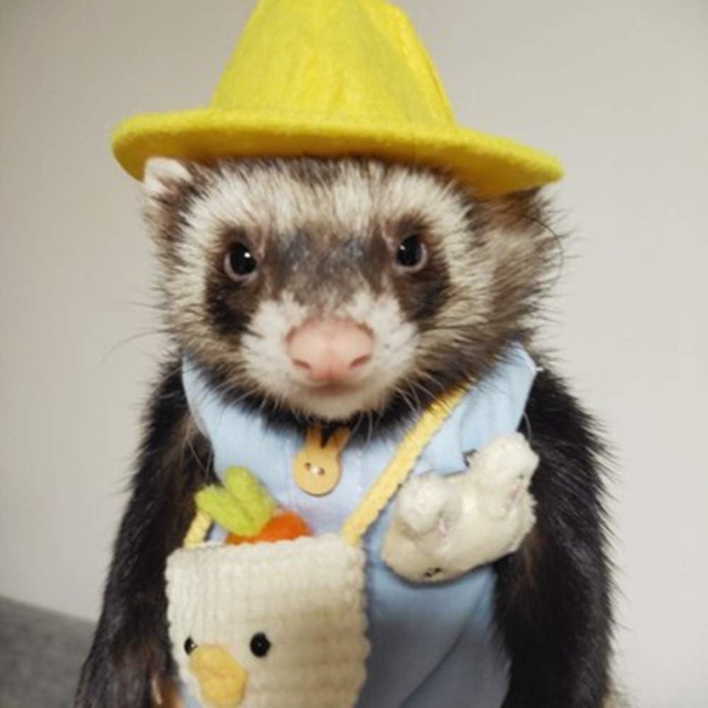 Conjunto Ropa para Hurón Angora con Correa Ajustable Azul