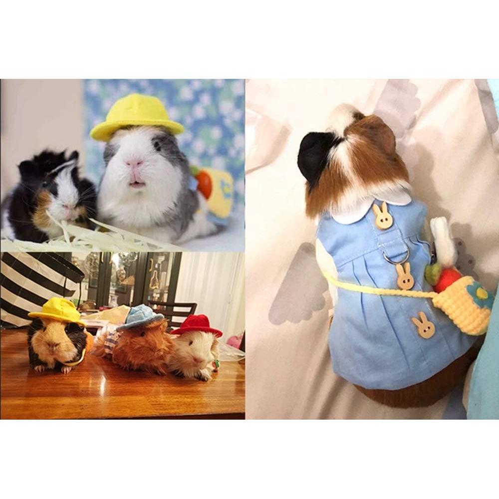 Conjunto Ropa para Hurón Angora con Correa Ajustable Azul