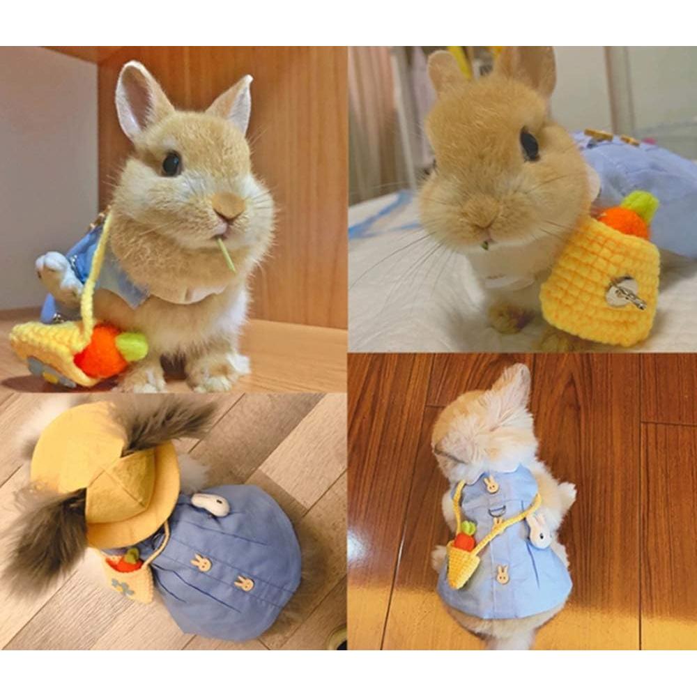 Conjunto Ropa para Hurón Angora con Correa Ajustable Azul