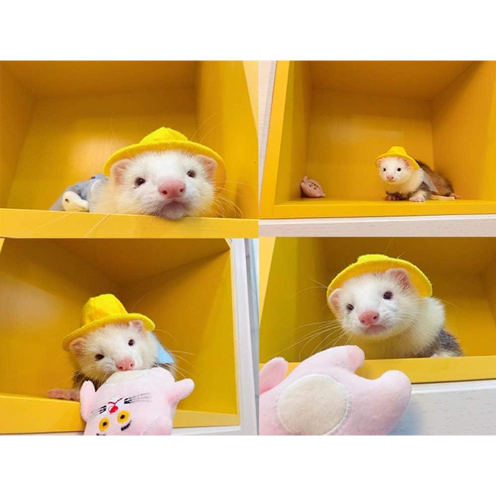 Conjunto Ropa para Hurón Angora con Correa Ajustable Azul