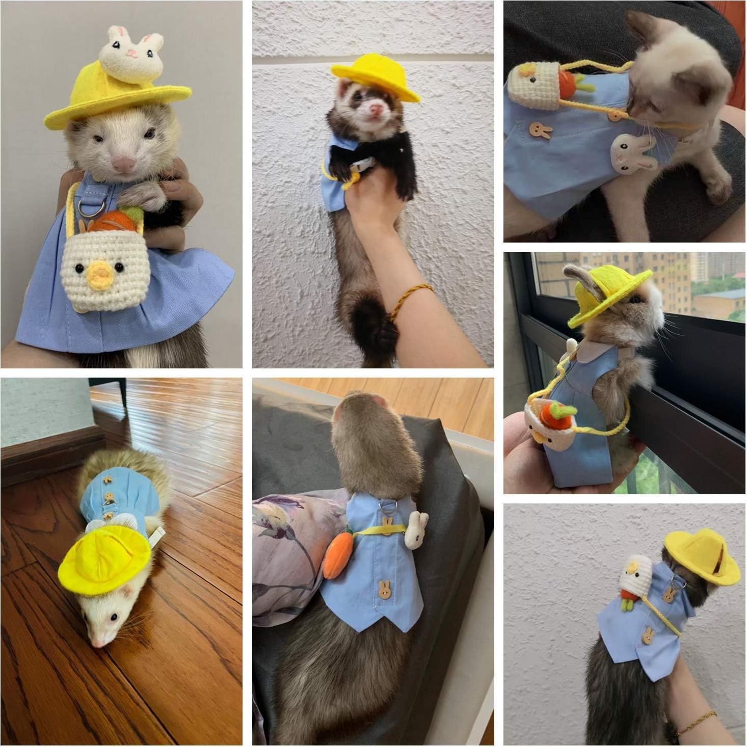 Conjunto Ropa para Hurón Angora con Correa Ajustable Azul