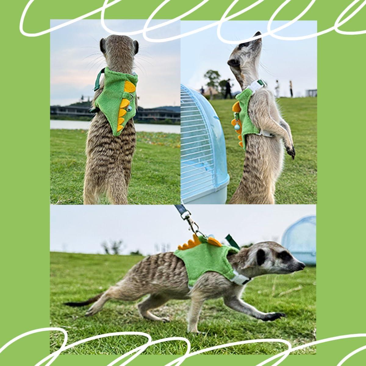 Arnés y Correa para Hurones MANON ROSA Dinosaurio Amarillo