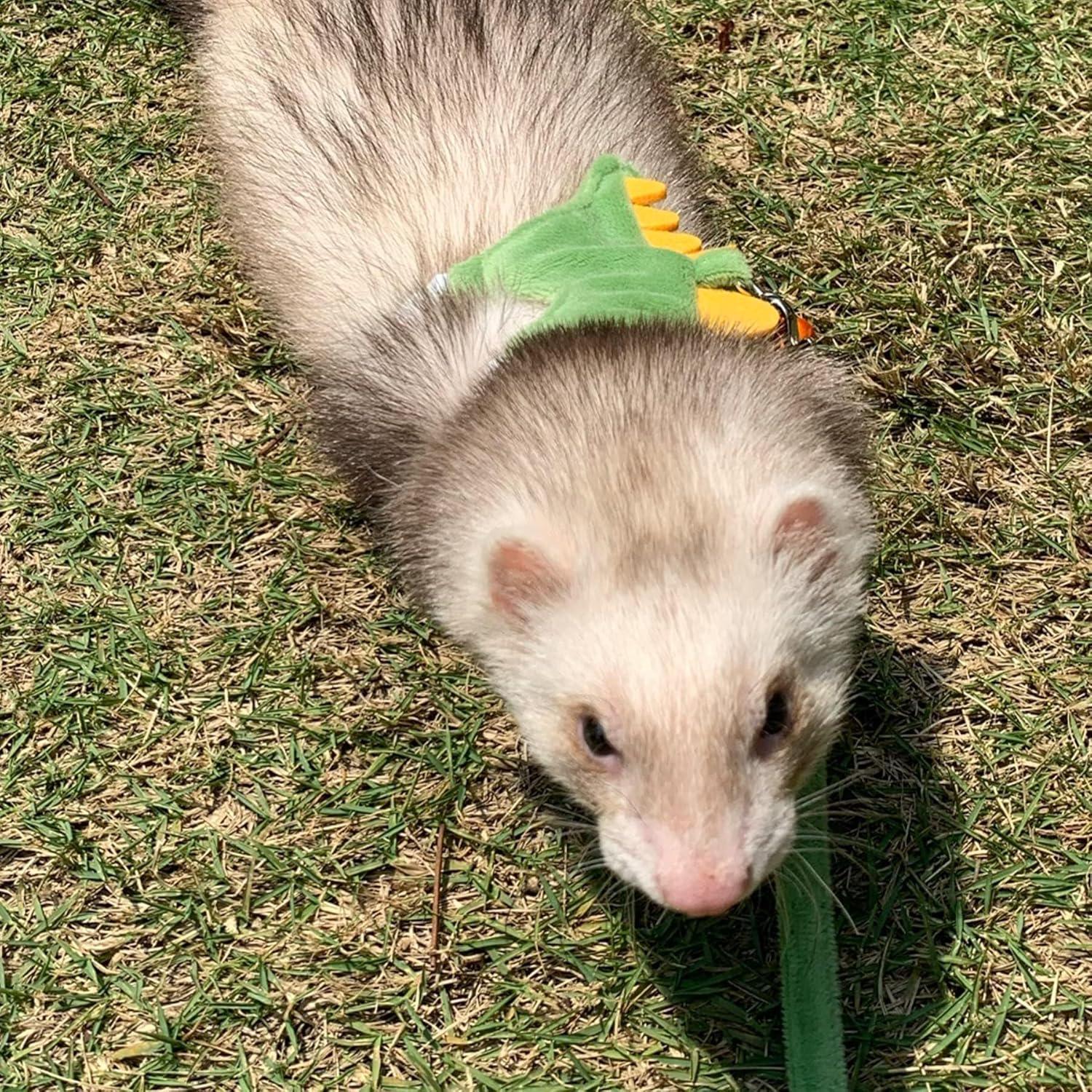 Arnés y Correa para Hurones MANON ROSA Dinosaurio Amarillo