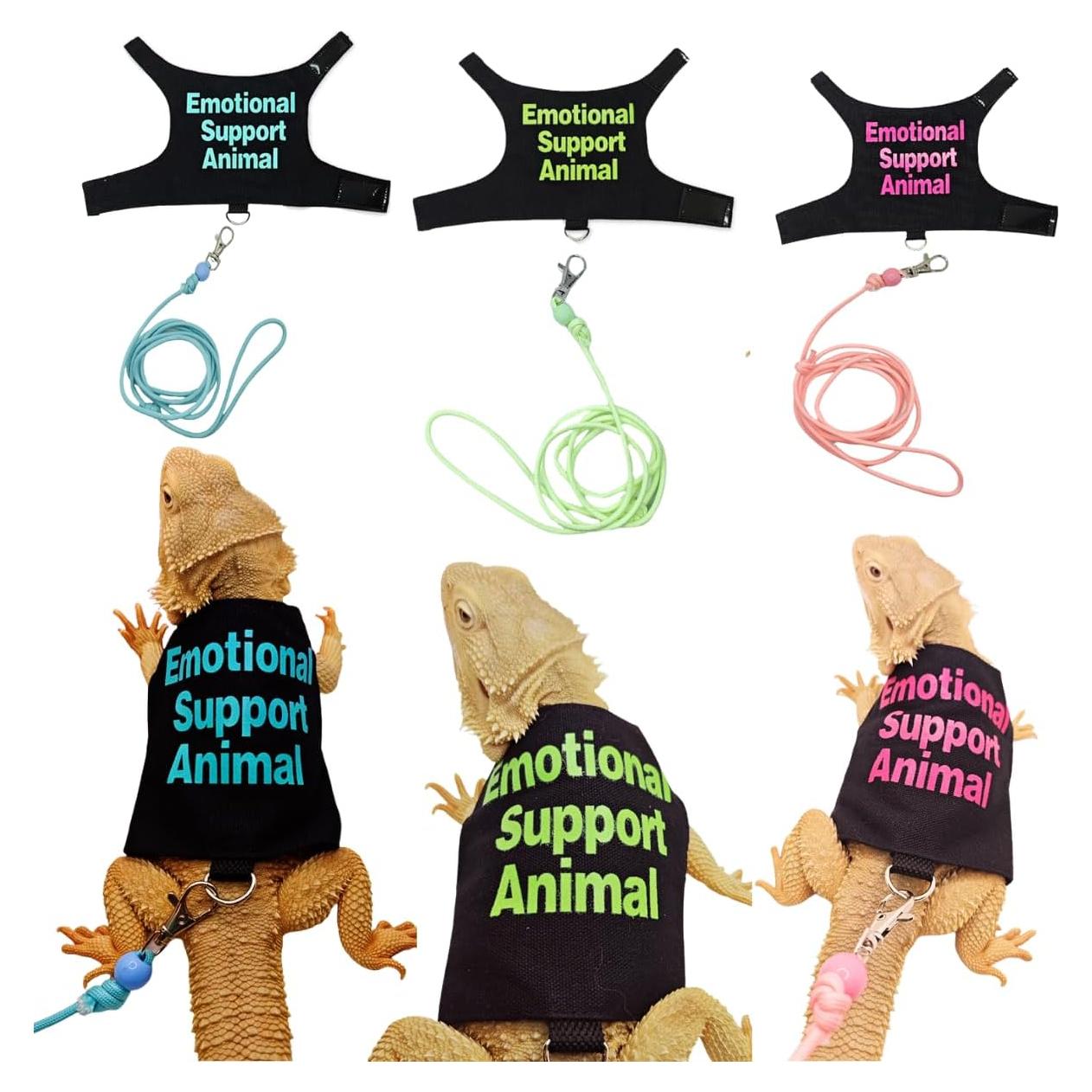 Conjunto Ropa para Lagartos Barbudos Copfeu - 3 Piezas con Correa