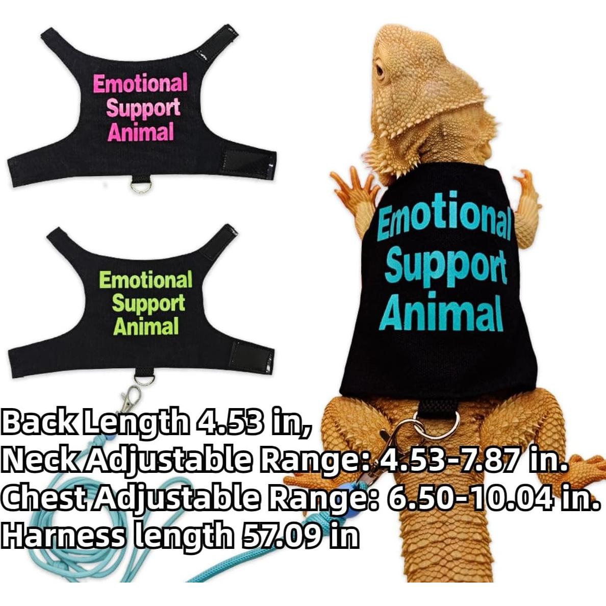 Conjunto Ropa para Lagartos Barbudos Copfeu - 3 Piezas con Correa