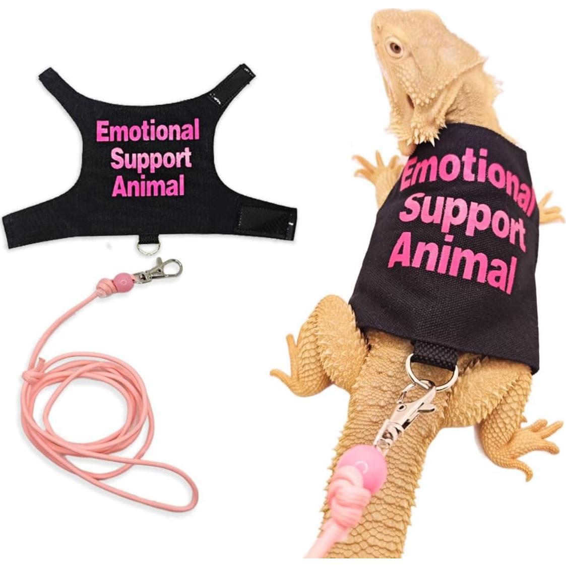 Conjunto Ropa para Lagartos Barbudos Copfeu - 3 Piezas con Correa