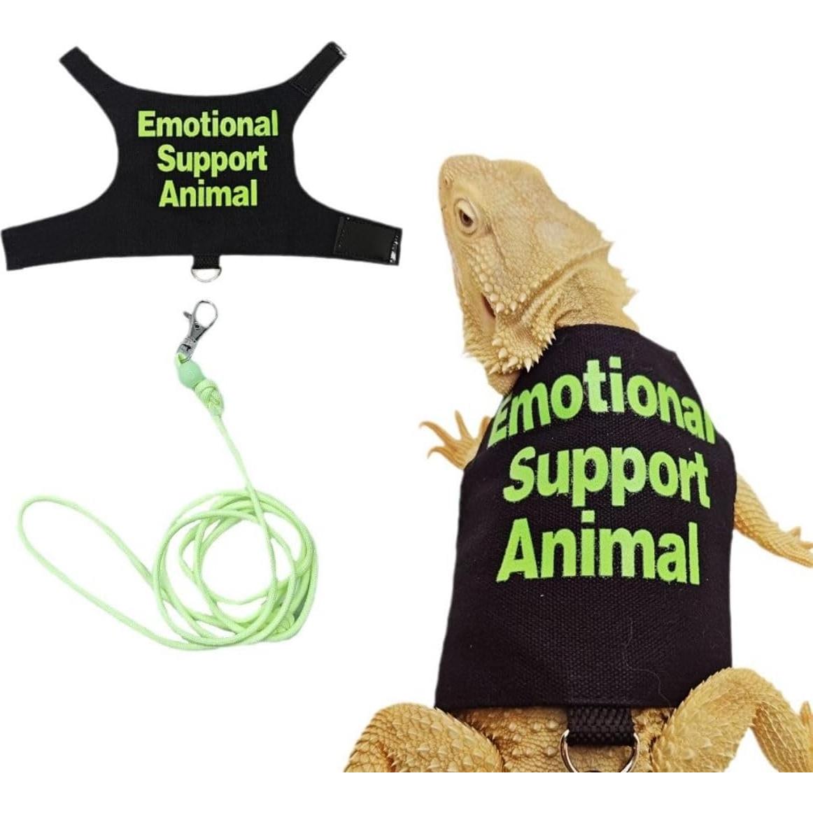 Conjunto Ropa para Lagartos Barbudos Copfeu - 3 Piezas con Correa