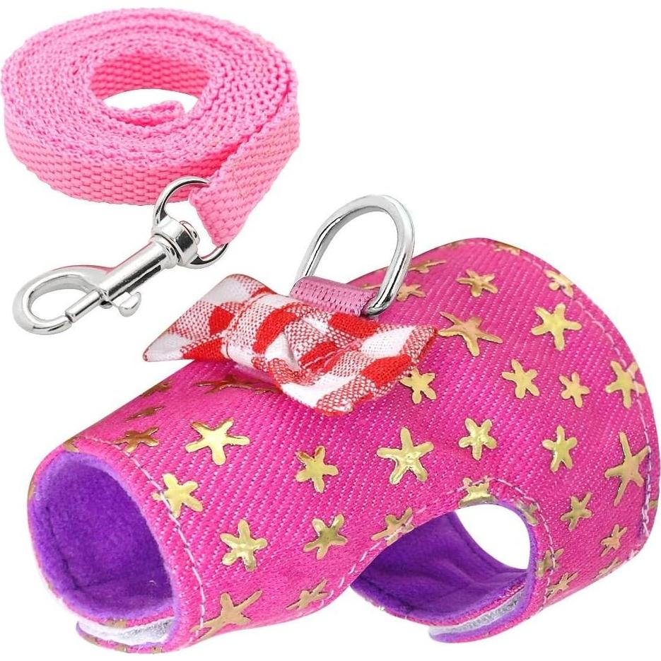 Arnés y Correa para Mascotas Pequeñas Stock Show - Rosa