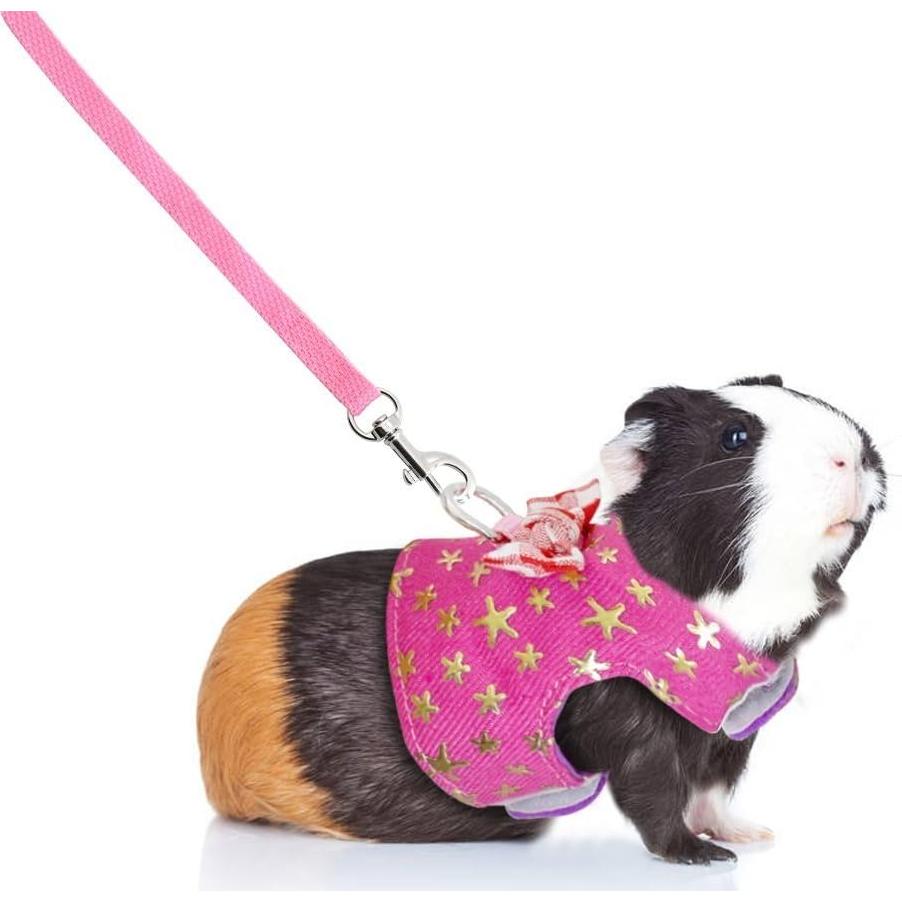 Arnés y Correa para Mascotas Pequeñas Stock Show - Rosa