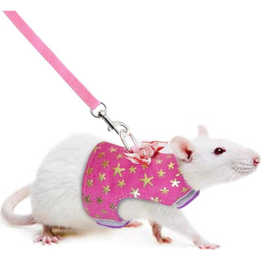 Arnés y Correa para Mascotas Pequeñas Stock Show - Rosa