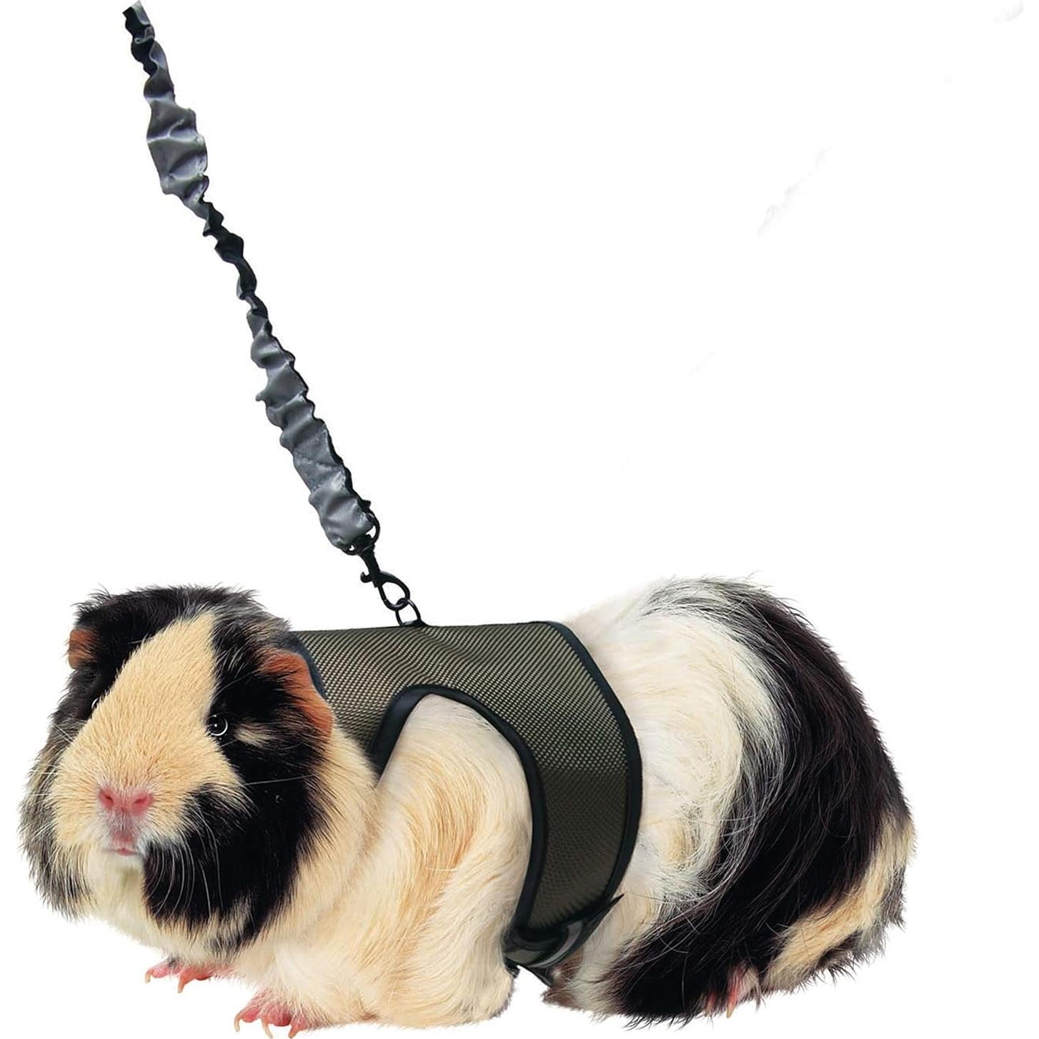 Arnés de Comodidad Kaytee Grande con Correa Elástica 1.83m