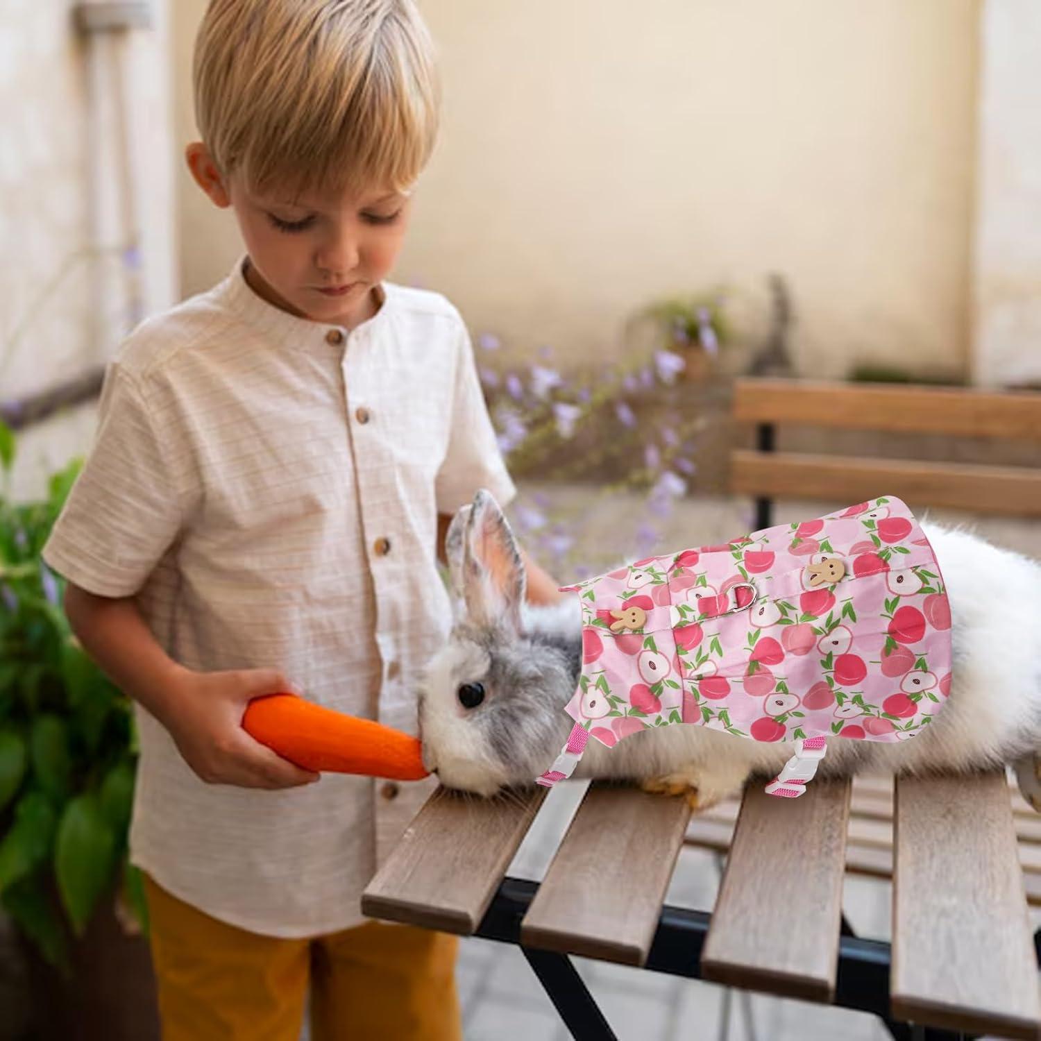 Arnés y Vestido para Conejo Durazno Disfraz Mascotas Pequeñas