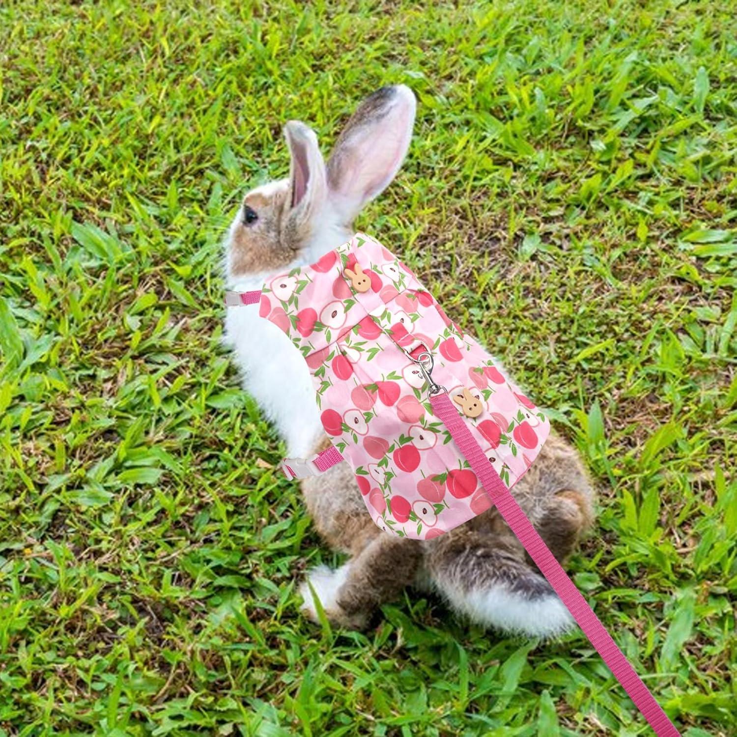 Arnés y Vestido para Conejo Durazno Disfraz Mascotas Pequeñas