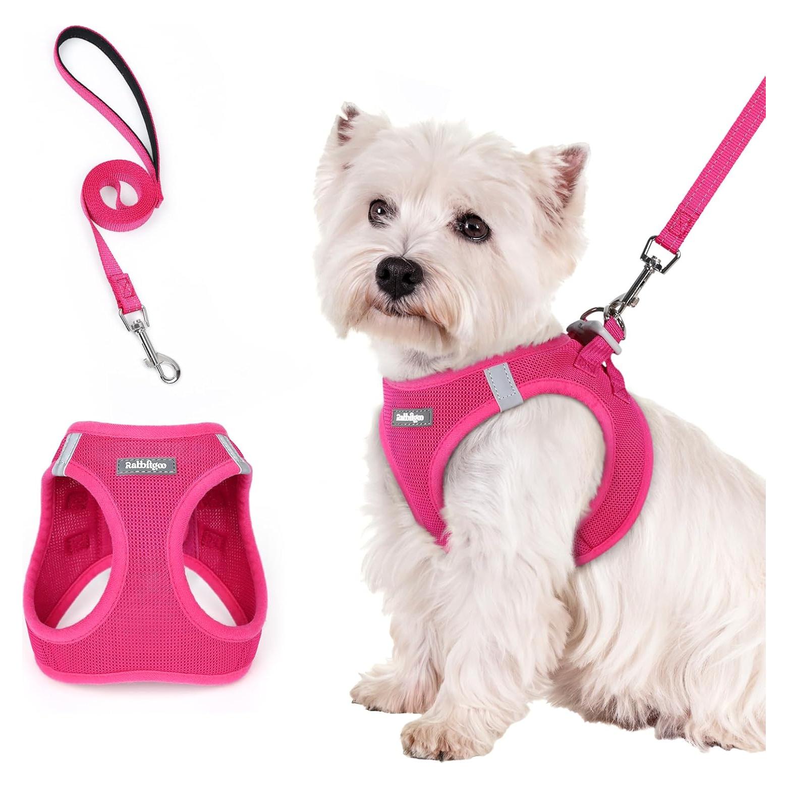 Arnés para Perros Rabbitgoo S Rojo Rosa con Correa Reflectante