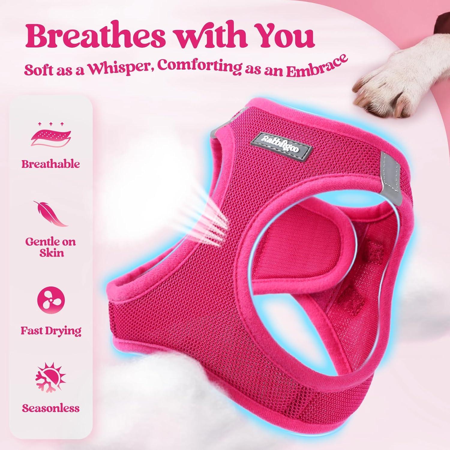 Arnés para Perros Rabbitgoo S Rojo Rosa con Correa Reflectante